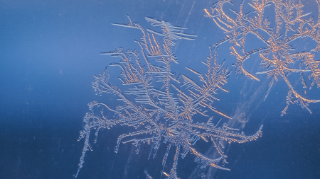 Snowflakes on the window in supermacro shooting. They are highlighted by the sunset. Real real...