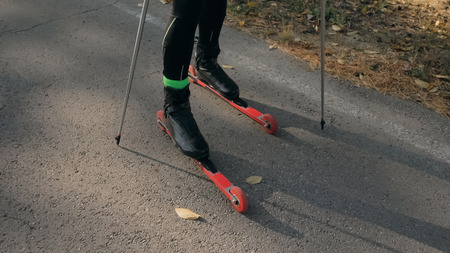 Training an athlete on the roller skaters. Biathlon ride on the roller skis with ski poles, in the helmet. Autumn workout. Roller sport. Adult man riding on skates. Athlete is getting ready to start.の写真素材