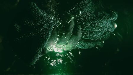 A professional dry microfiber rag for washing a car is dipped in water. Bottom view from under the water. Underwater view of towel in hand in black glove. The tissue in fluid air bubbles and flows.の写真素材