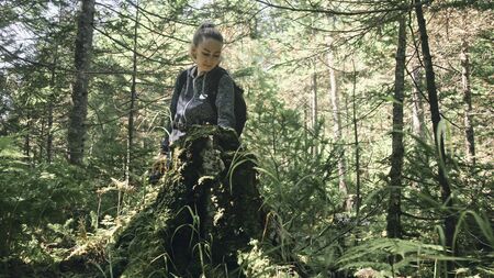 Traveler photographing scenic view in forest. One caucasian woman shooting nice magic look. Girl...