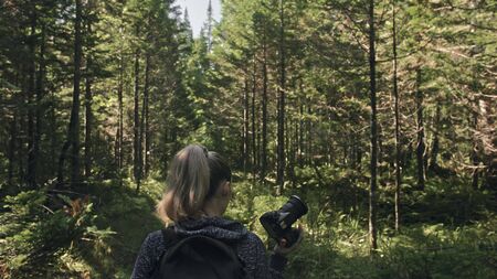 Traveler photographing scenic view in forest. One caucasian woman shooting nice magic look. Girl take photo video on dslr mirrorless camera. Professional photographer travel with backpack. Outdoor.の写真素材