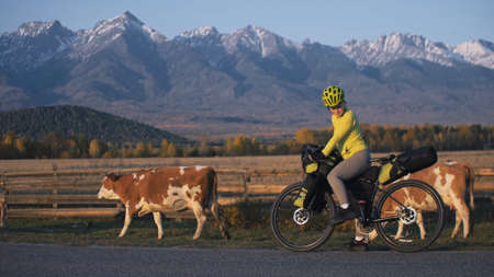 The woman travel on mixed terrain cycle touring with bikepacking. The traveler journey with bicycle bags. Sport tourism bikepacking, bike, sportswear in green black colors. Mountain snow capped.の写真素材