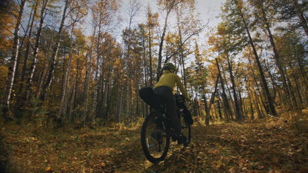 The woman travel on mixed terrain cycle touring with bikepacking. The traveler journey with bicycle bags. Sportswear in green black colors. The trip in magical autumn forest, river stream.の写真素材