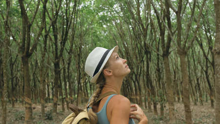 The traveler walks between trees plantation agriculture of asiaの写真素材