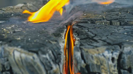 Swedish or finnish log candle. Fire burning from inside the wood