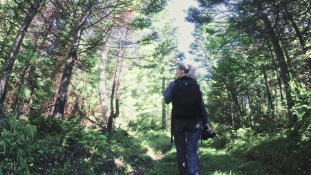 Traveler photographing scenic view in forest. One caucasian woman shooting nice magic look. Girl take photo video on dslr mirrorless camera.の写真素材