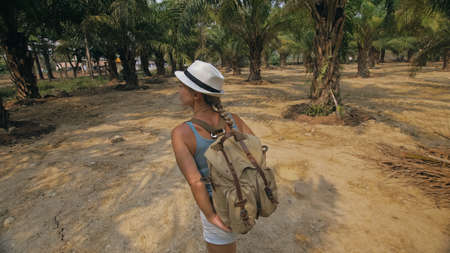 Woman tourist with plait walks looking around at growing young trees with lush leaves at oil palm...