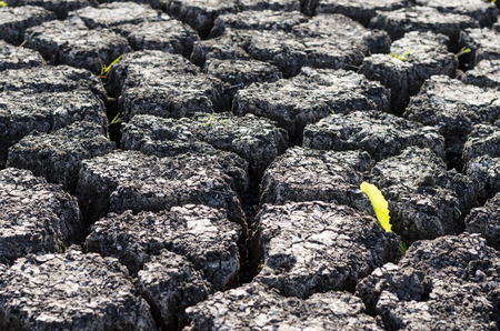 Textured background of dry cracked earth surfaceの写真素材