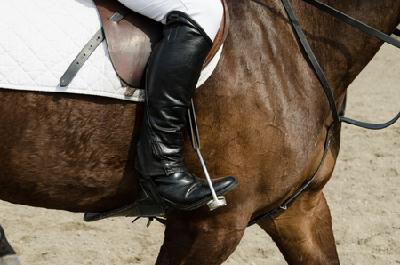 dressage horse and riderの写真素材