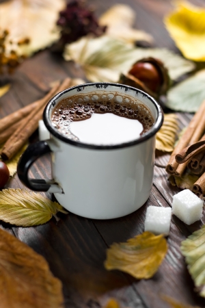 Cocoa drinkの写真素材
