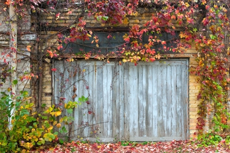 Old wooden door with a brick wall and creepersの写真素材
