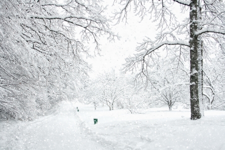 Winter landscapeの写真素材