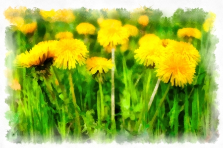 Spring flowers meadowの写真素材