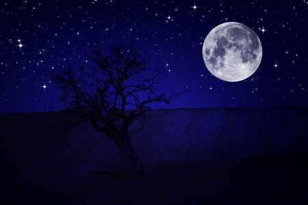 Night sky stars sceneryの写真素材
