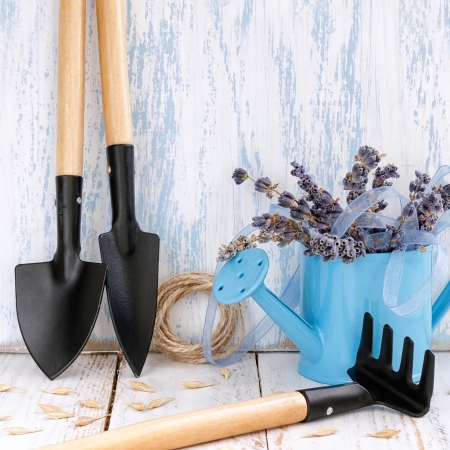 Gardening toolsの写真素材