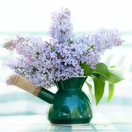 Bouquet of lilacsの写真素材