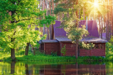 Wooden house in forest at the lakeの写真素材