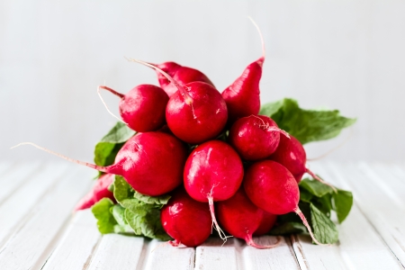 Radishの写真素材