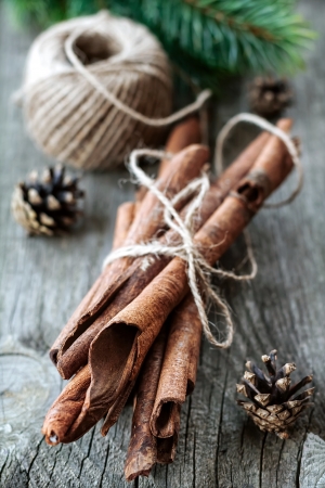 Cinnamonの写真素材