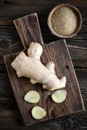 Gingerの写真素材