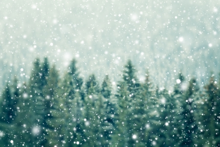 Winter background