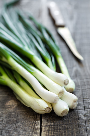 Spring onionの写真素材