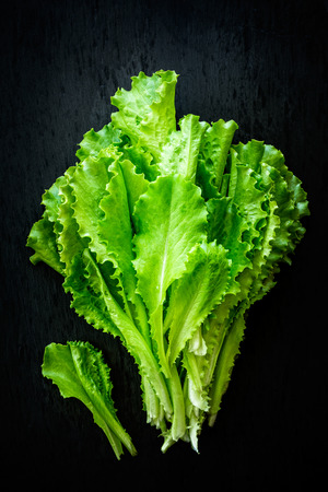 lettuceの写真素材