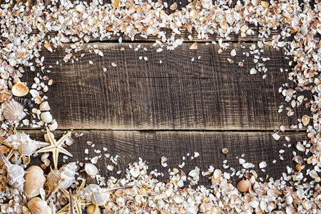 Beach background. Seashells frame on woodの写真素材