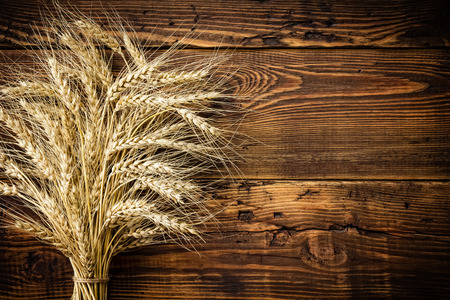 Wheatの写真素材