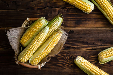Fresh corn cobsの写真素材