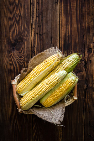 Fresh corn cobsの写真素材