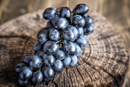 grapesの写真素材