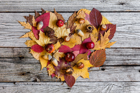 Autumn background