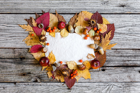 Autumn backgroundの写真素材