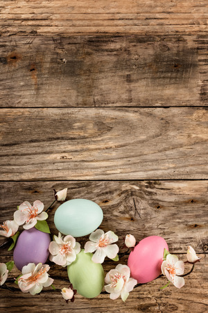 easter eggs backgroundの写真素材