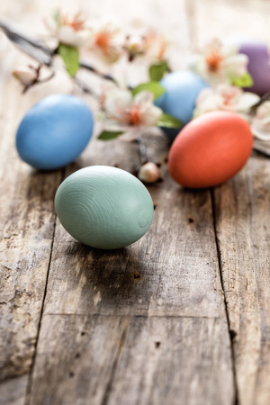 easter eggsの写真素材