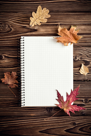 autumn background with blank for notesの写真素材