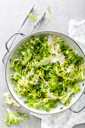 fresh crunchy juicy lettuce Frizeの写真素材