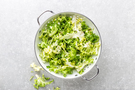 fresh crunchy juicy lettuce Frizeの写真素材
