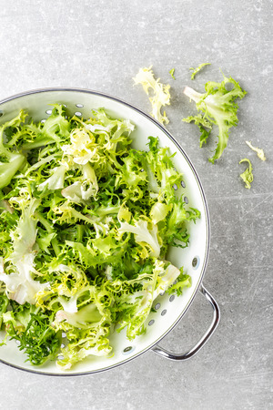 fresh crunchy juicy lettuce Frizeの写真素材