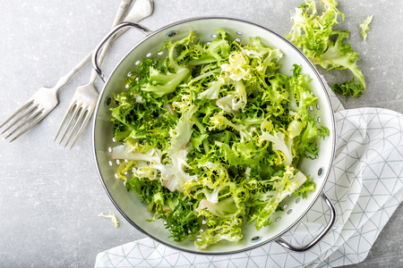 fresh crunchy juicy lettuce Frizeの写真素材