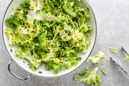 fresh crunchy juicy lettuce Frizeの写真素材