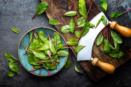 Fresh mangold leaves, swiss chard or leaf beetの写真素材