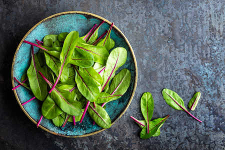 Fresh mangold leaves, swiss chard or leaf beetの写真素材
