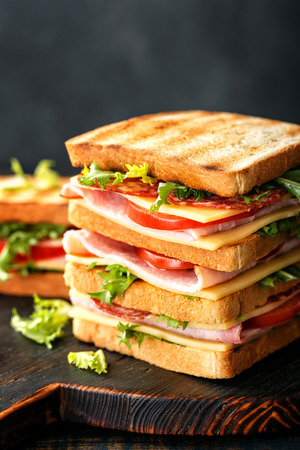 sandwiches with grilled toast ham salami cheese tomatoes and lettuceの写真素材