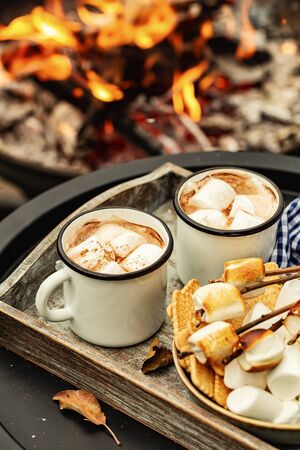 two cup of cocoa or hot chocolate and skewers of roasted marshmallows over campfire. autumn holidays outdoors treatsの写真素材