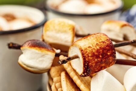 skewers of roasted marshmallows over campfire. autumn holidays outdoors treatsの写真素材