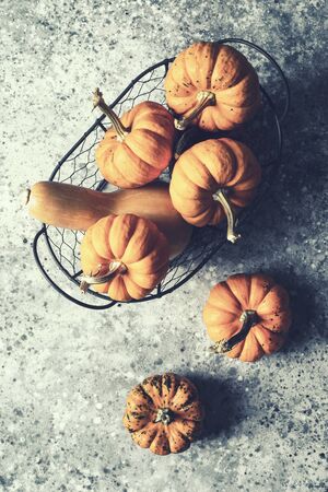 autumn pumpkins harvest in basket top viewの写真素材