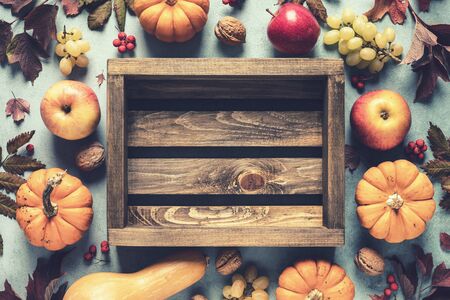 autumn background of fall leaves and pumpkins and variety harvest fruits and blank space for a text, may used for thanksgiving or halloween or another autumn holidaysの写真素材