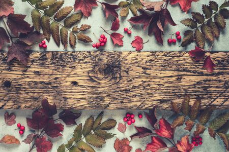 autumn background of fall leaves and blank space for a text, may used for thanksgiving or halloween or another autumn holidaysの写真素材